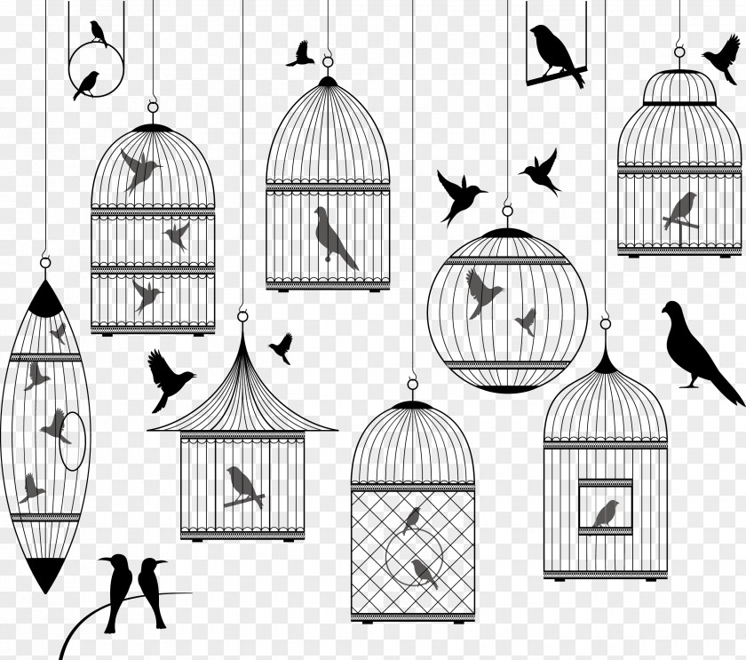 Floating Cage And All Kinds Of Birds Birdcage Royalty-free Illustration PNG