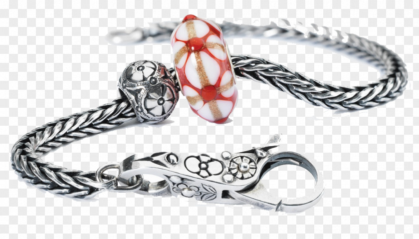 Jewellery Bracelet Trollbeads Earring Leather PNG