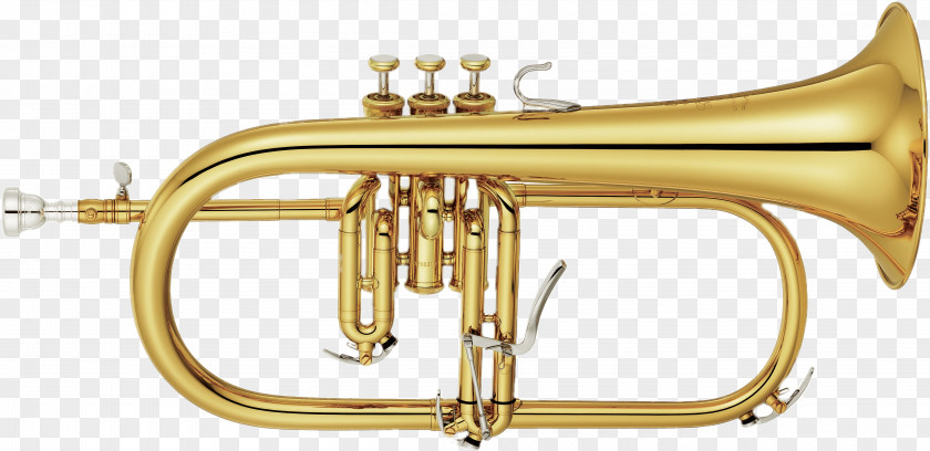 Trombone Horn Brass Instruments PNG