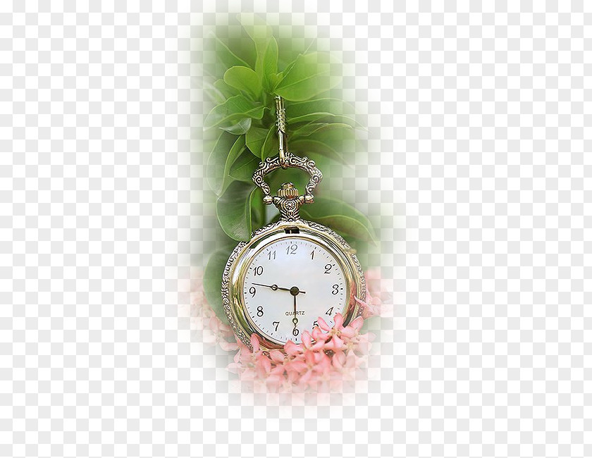 Watch Pocket Pendulum Clock Clockmaker PNG