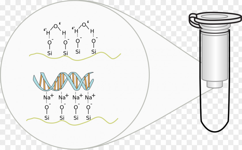 Water Beads Spin Column-based Nucleic Acid Purification DNA Extraction Plasmid Preparation PNG