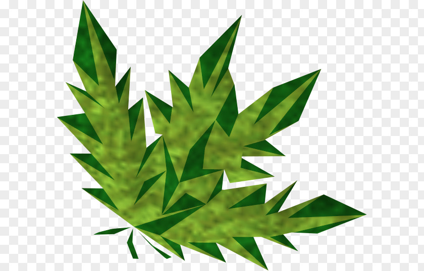 Weed RuneScape Cannabis Herb Potion Wiki PNG