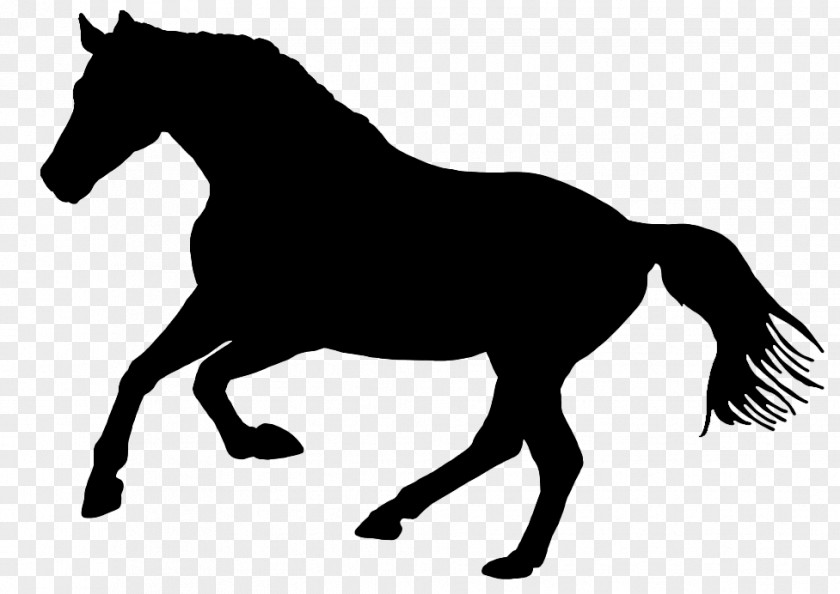 Andalusian Silhouette Horse Vector Graphics Stallion Logo PNG