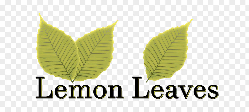 Delicious Takeout Leaf Logo Lemon Brand Font PNG