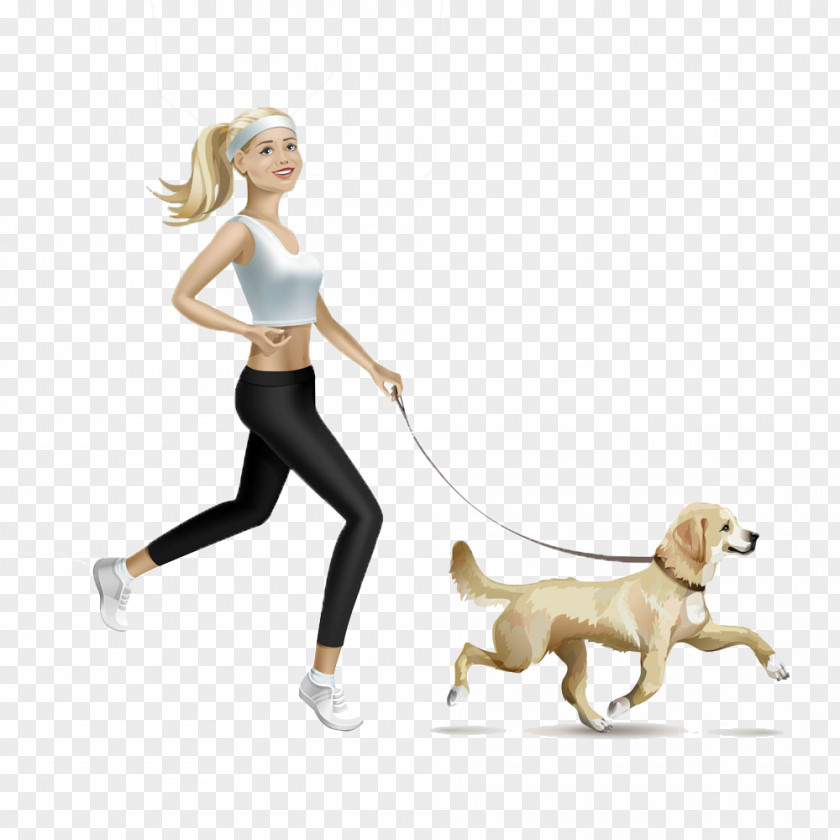 Dog Fitness Beauty Illustration PNG