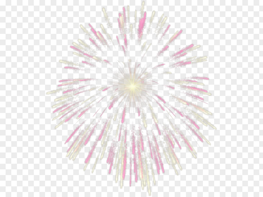 Fireworks Pink Clip Art PNG