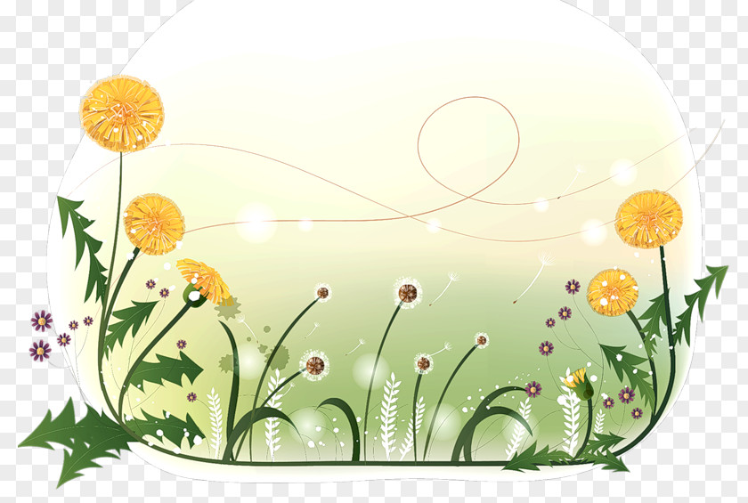 ОДУВАНЧИК Floral Design Desktop Wallpaper Presentation Ecology Взаимодействие неаллельных генов PNG