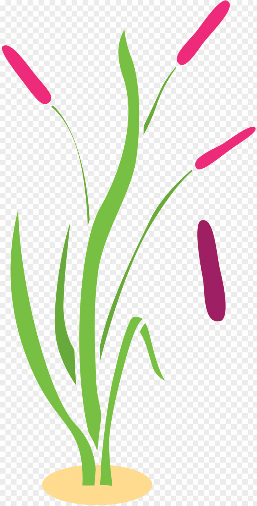 Floral Design Plant Stem Grasses Leaf Font PNG