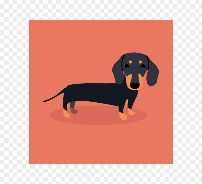 Puppy Dachshund Dog Breed T-shirt Sausage PNG
