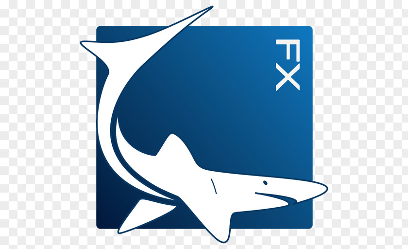 Sharks Drawing Shark Graphic Design 3D Computer Graphics PNG