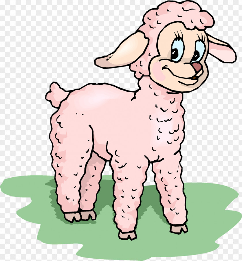 Sheep Goat Clip Art PNG