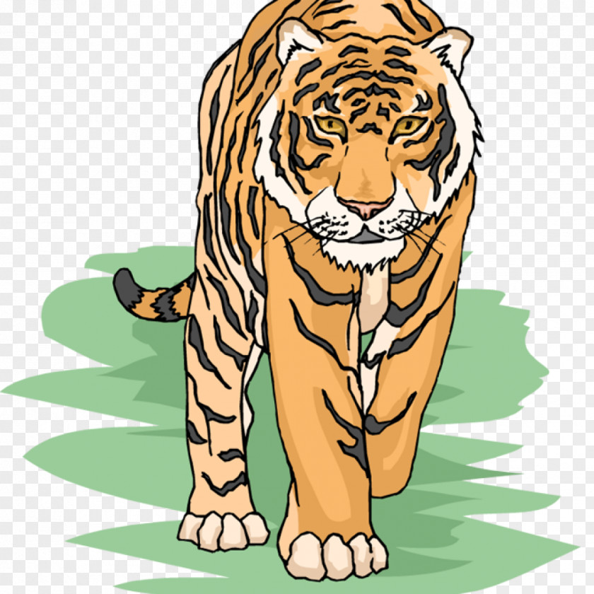 Tiger Clip Art Openclipart Bengal Siberian Image PNG