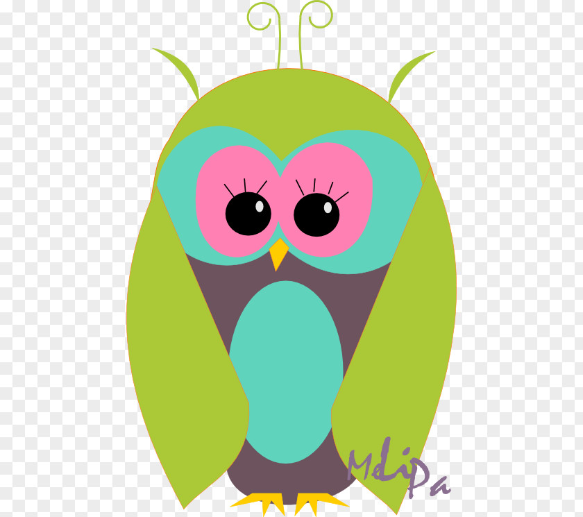 Owl Drawing Beak Clip Art PNG