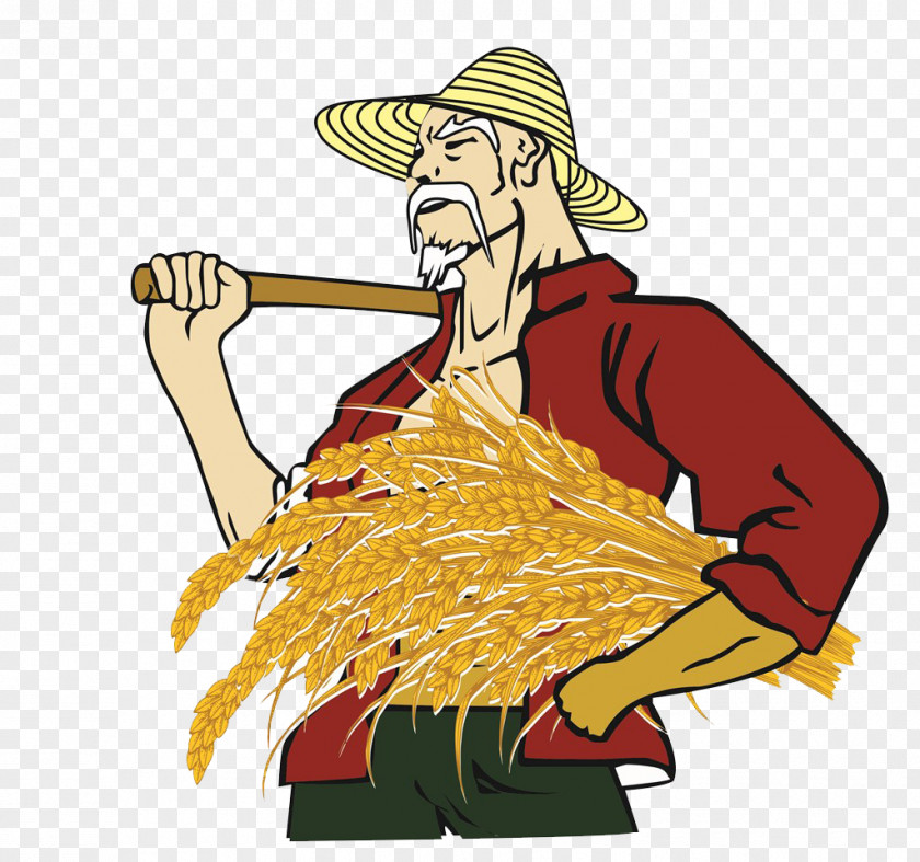 Rice Harvest For The Elderly Farmer Clip Art PNG