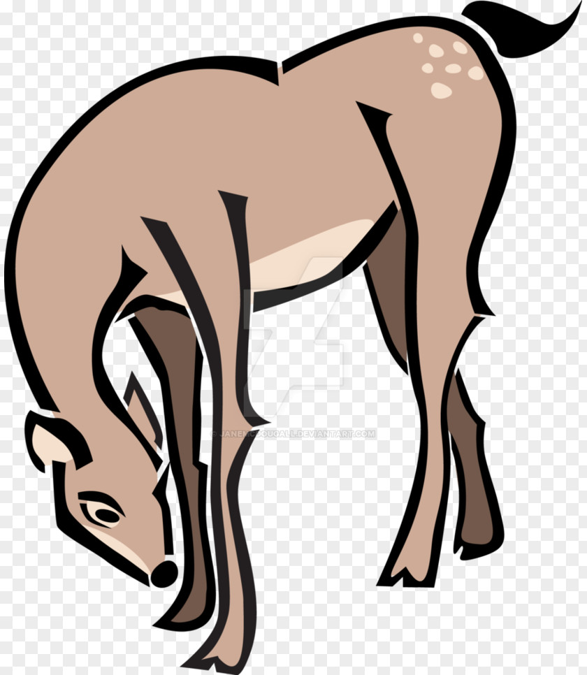 Bambi Deer Faline Mustang Drawing Clip Art PNG
