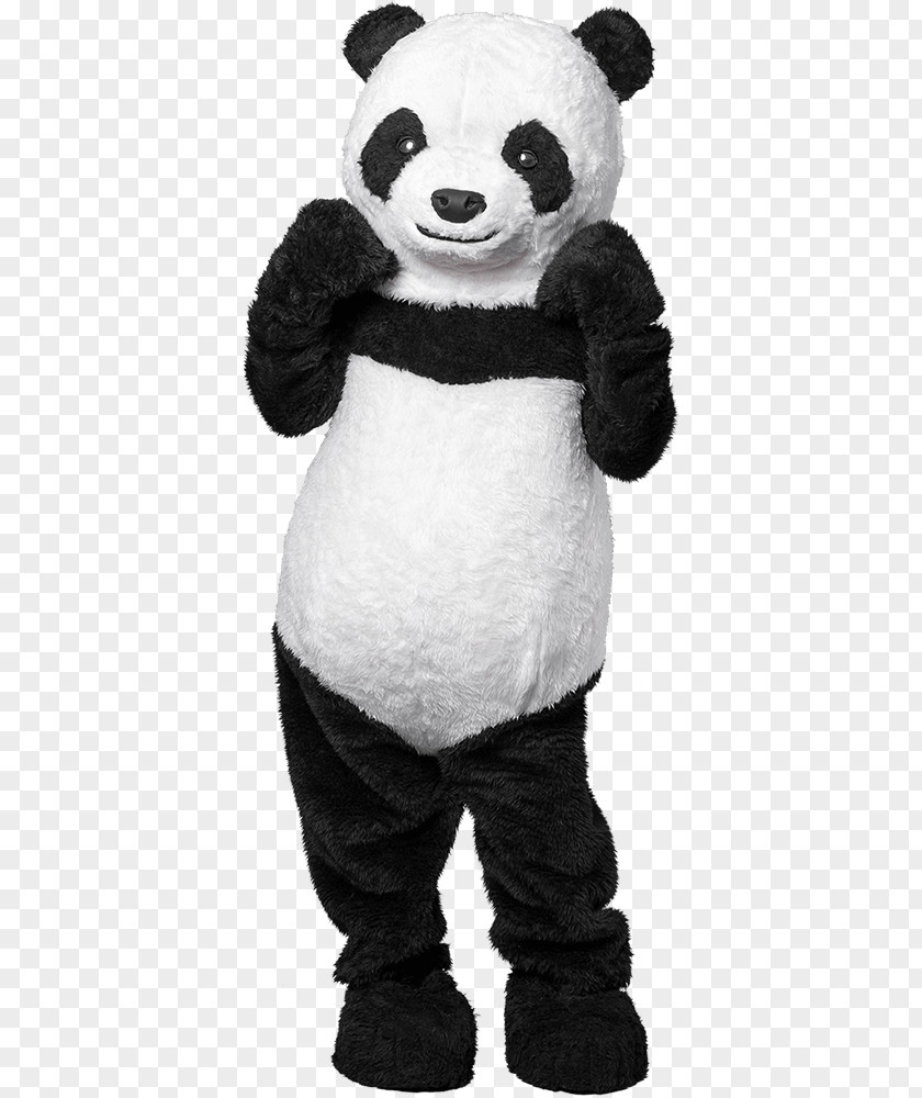 Cat Dog Clown School Amazon.com Giant Panda Mascot Clothing Costume PNG