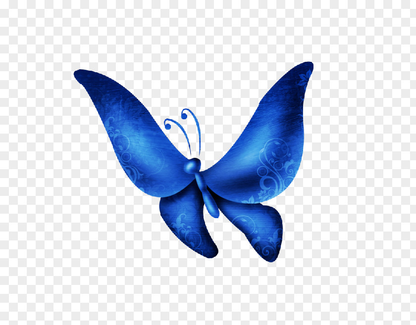 Duplication Butterfly Ash Ketchum Insect Vector Graphics PNG