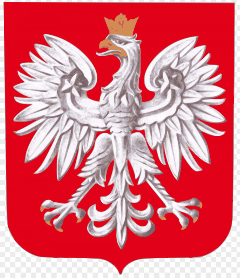Team Coat Of Arms Poland Flag National Symbols PNG