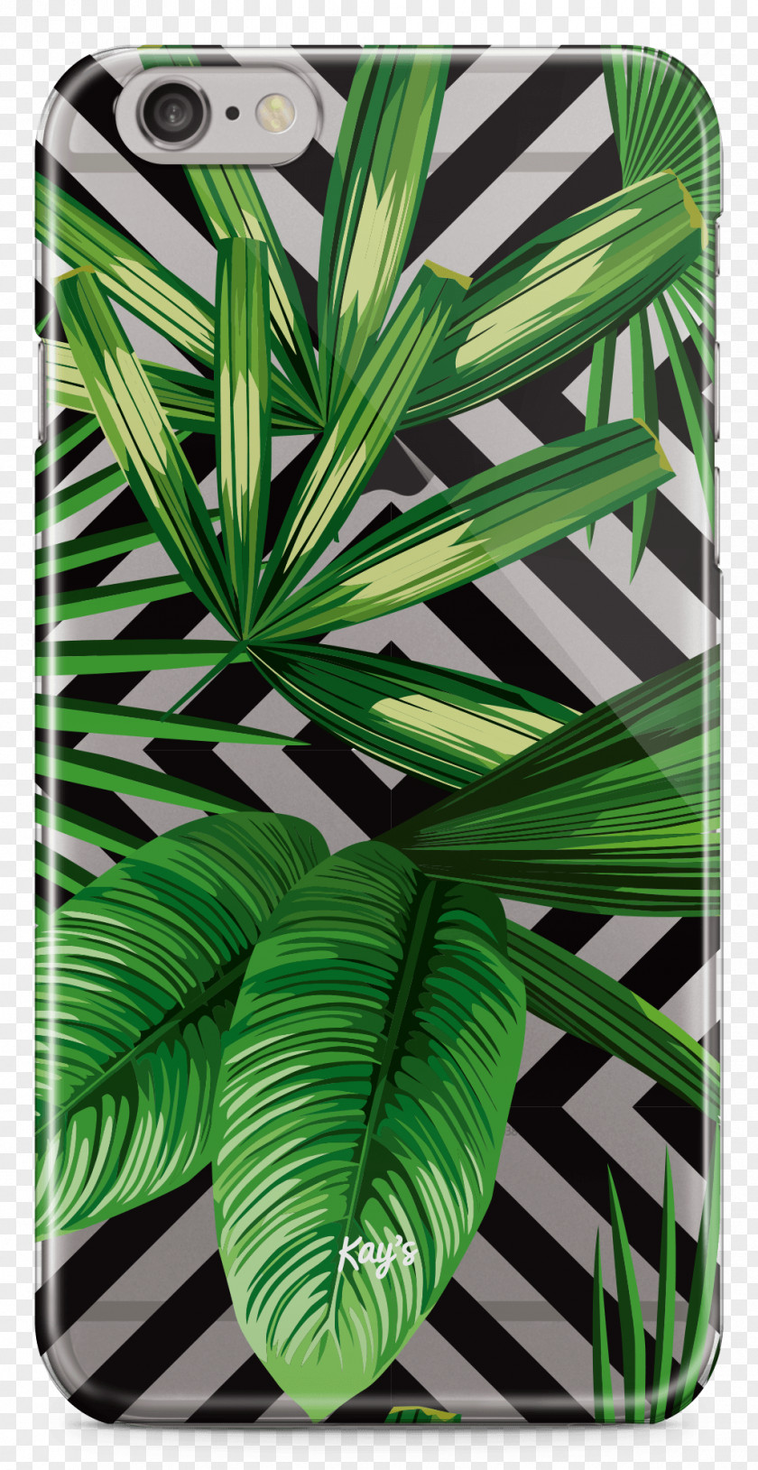 Tropical Woody Bamboos Materials Thermoplastic Polyurethane Glass Crystal Mobile Phones Arecaceae PNG