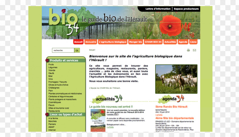 Bio Web Page PNG