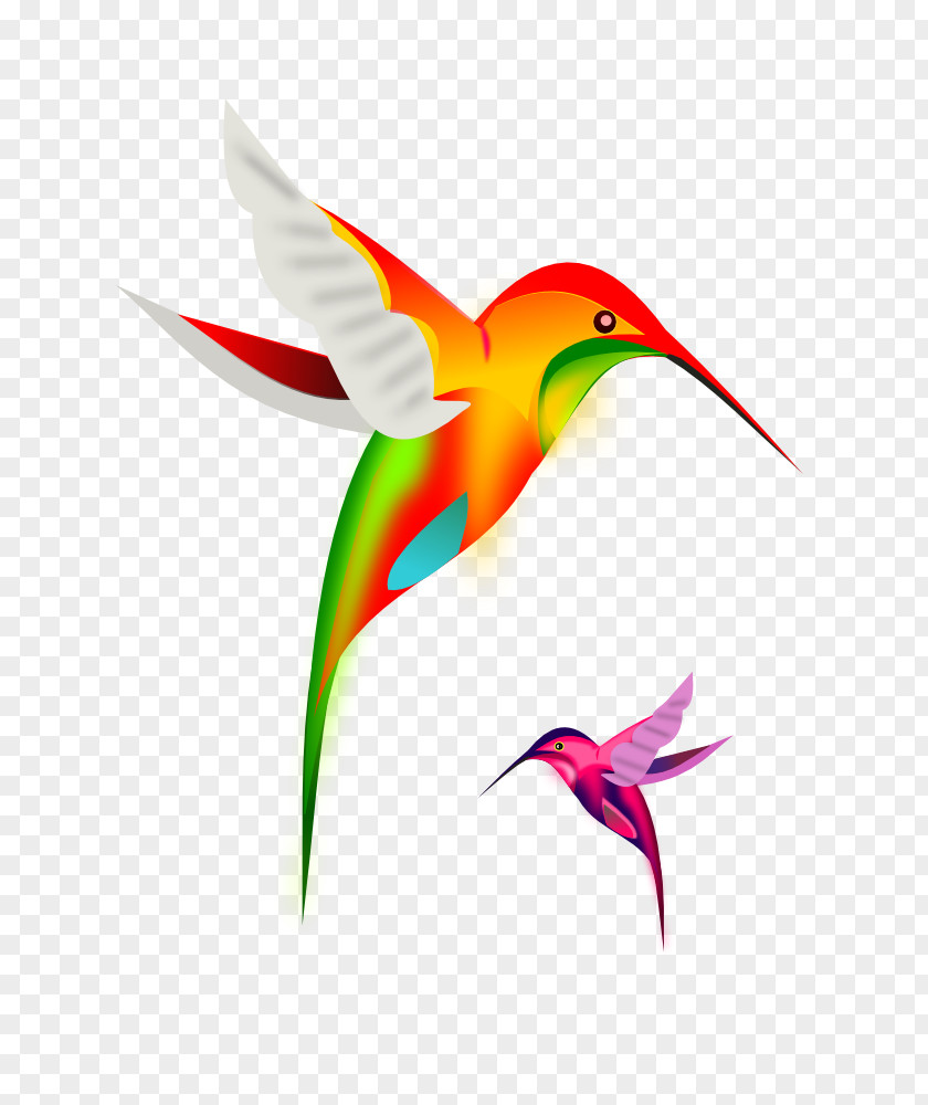 Bird Hummingbird Clip Art PNG