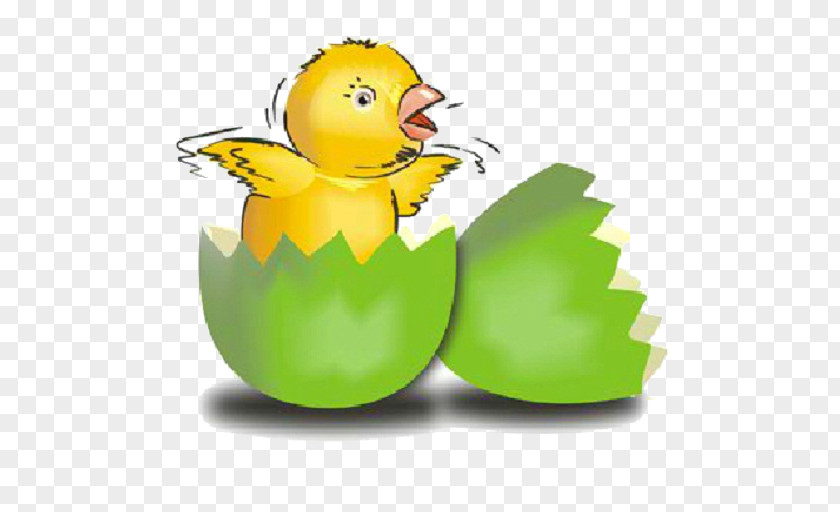 Easter Egg Chicken Decorating PNG