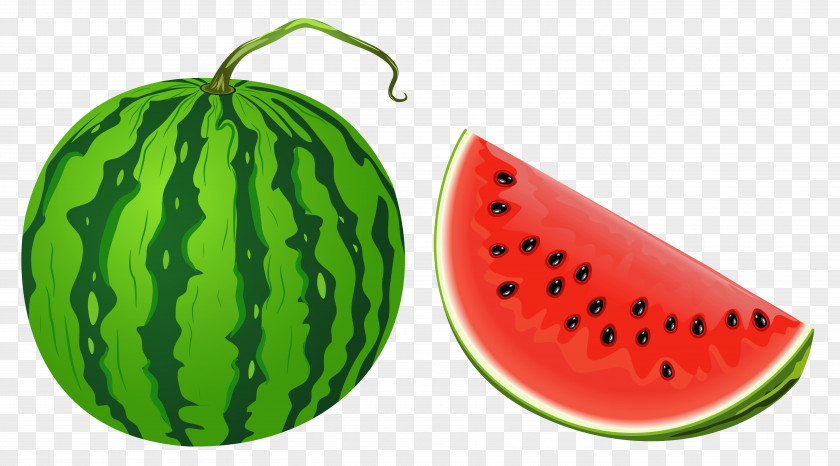 Watermelon Vector Clipart Image Fruit Clip Art PNG