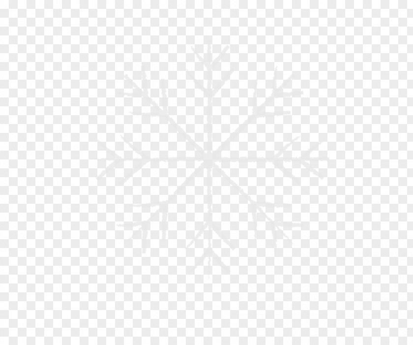 Chalk Painted Vector Snowflake White Symmetry Black Pattern PNG