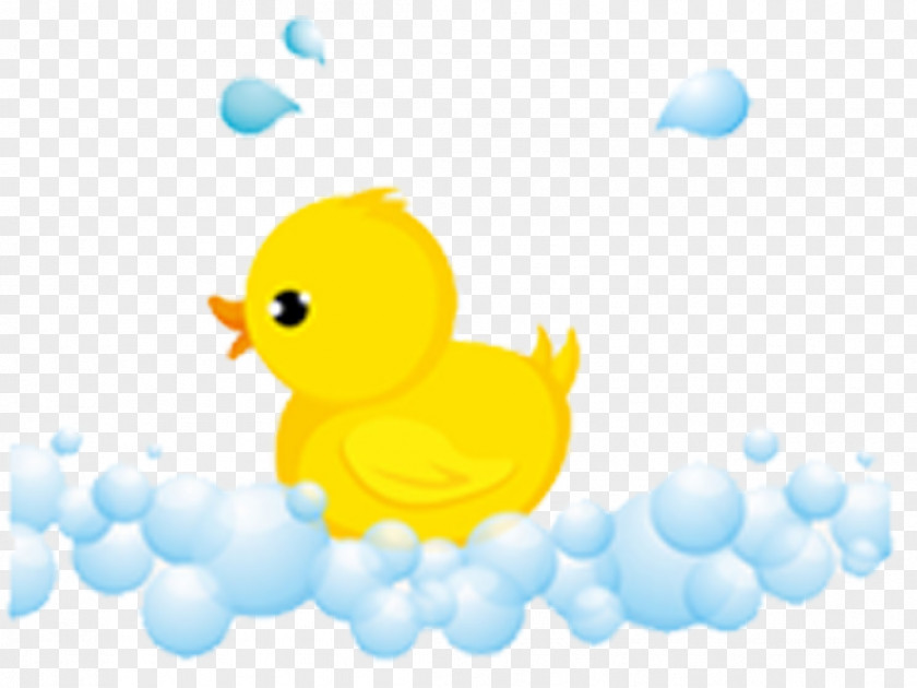 Ducks Take A Bath Donald Duck Bathing PNG