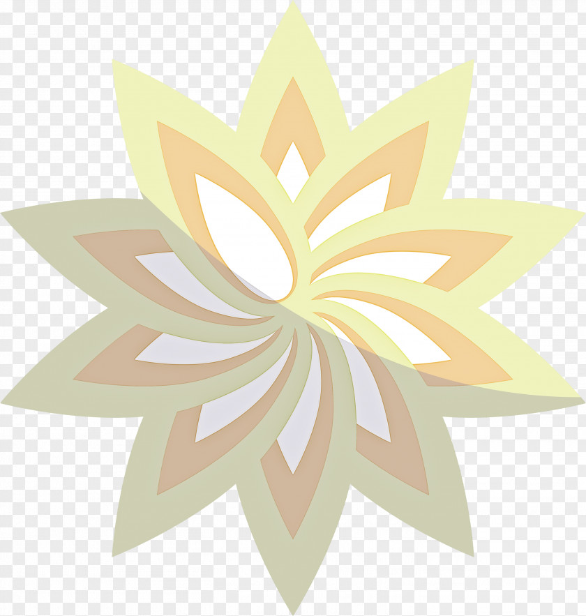 Pattern Symmetry Leaf Plants Plant Structure PNG