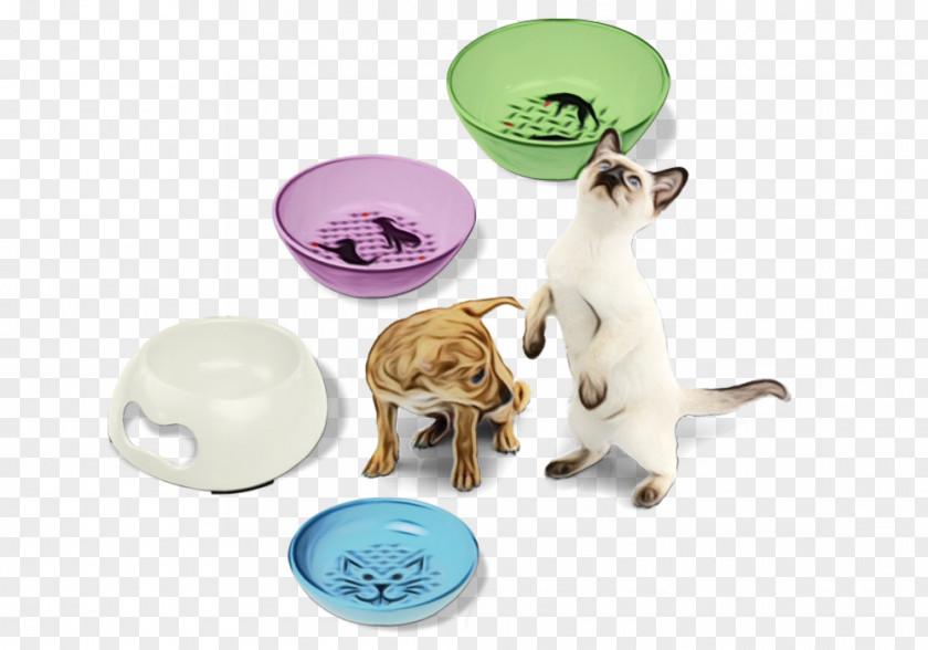 Puppy Kitten Dog And Cat PNG