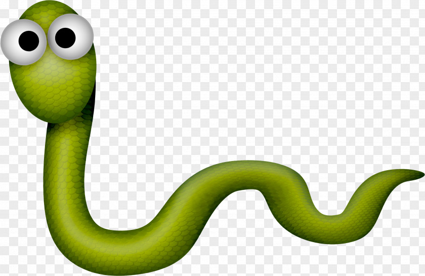 Beautiful Green Snake Vipers Reptile Clip Art PNG