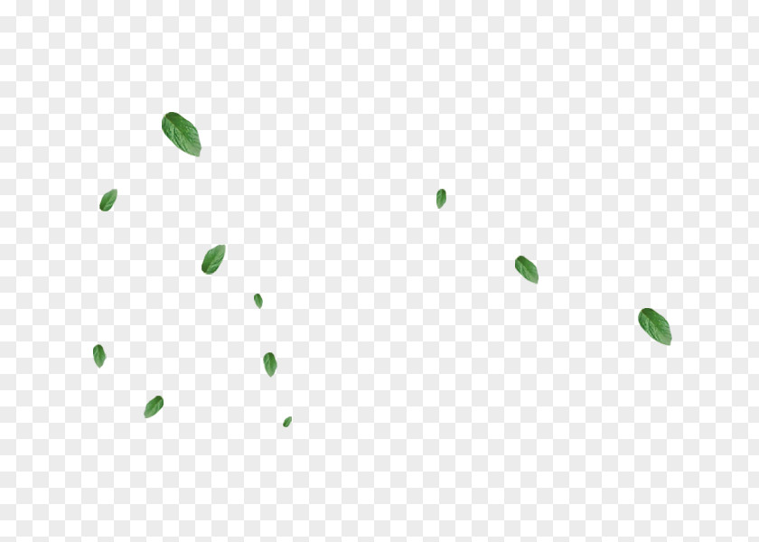 Green Foliage Desktop Wallpaper Web Page Computer Image PNG