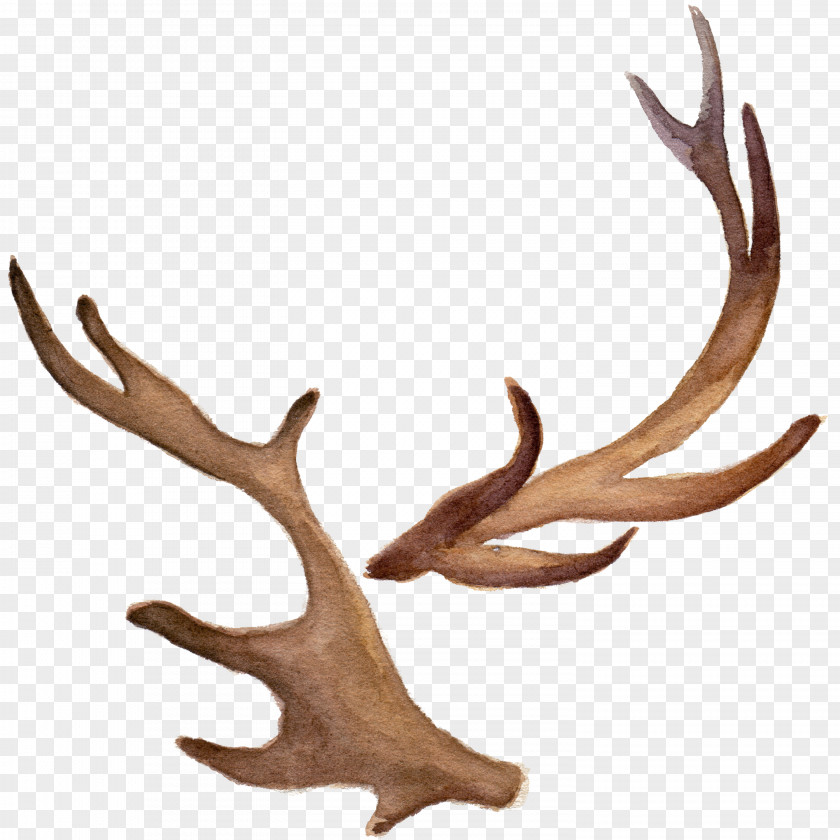 Hand-painted Watercolor Antlers Antler Icon PNG