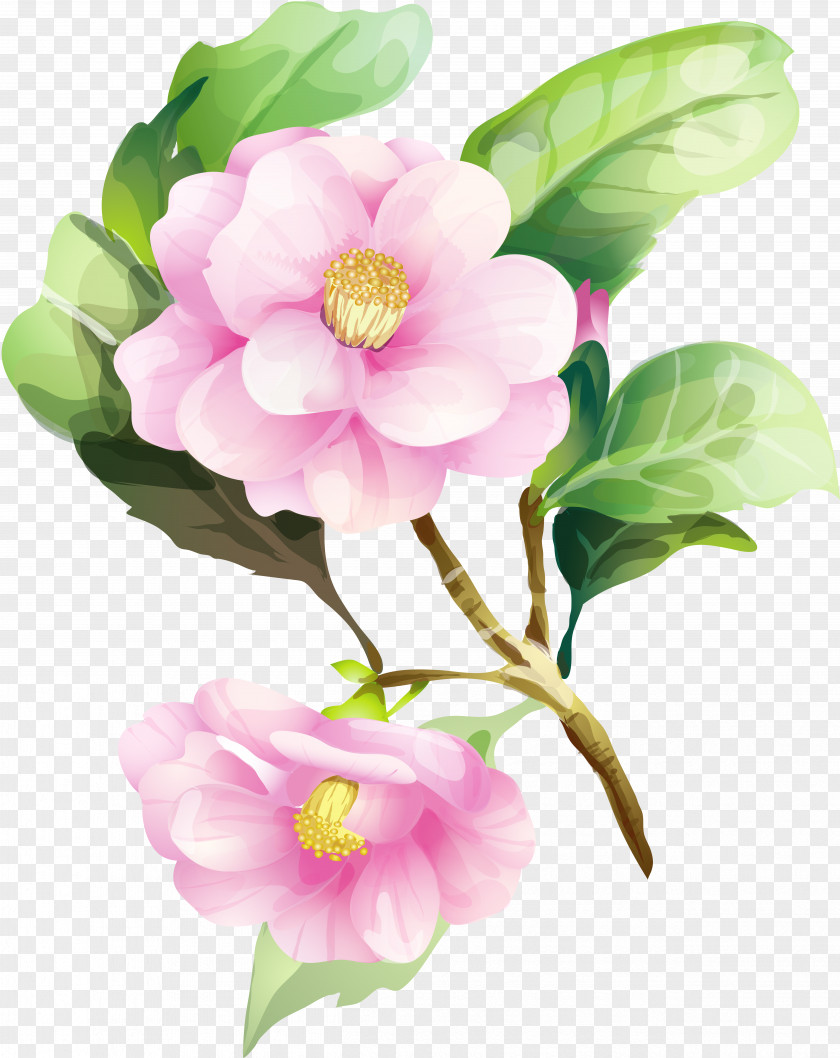 Watercolor Flower Painting Drawing Floral Design PNG
