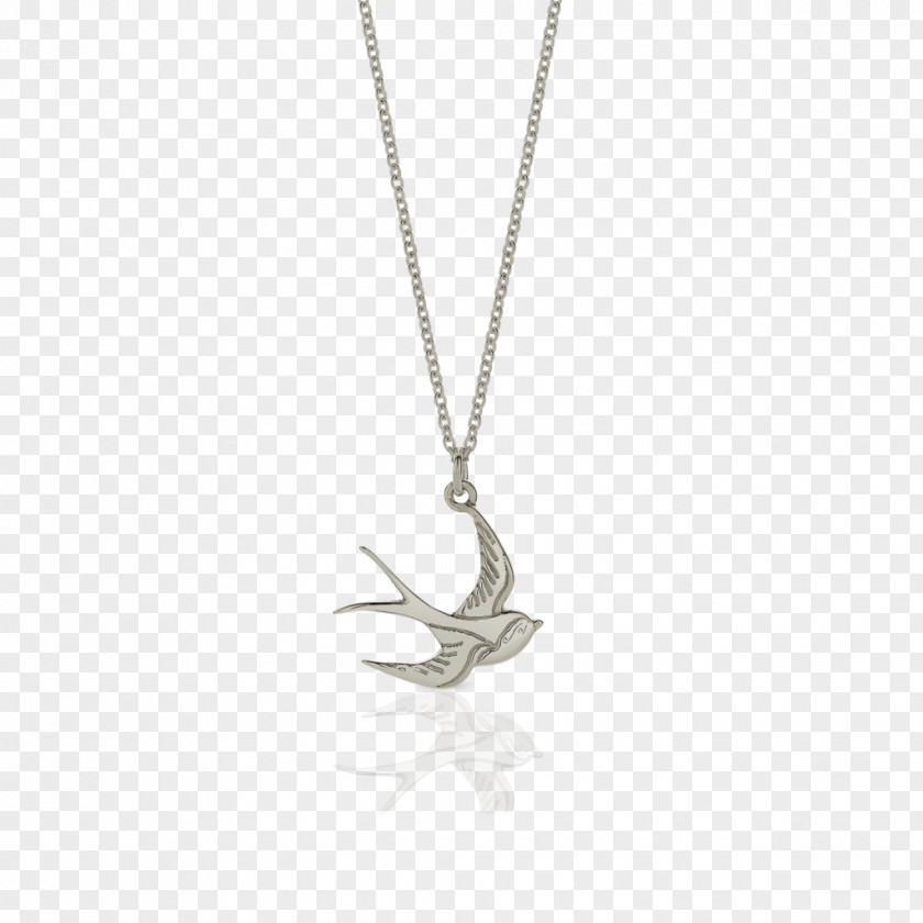 Young Swallow Locket Necklace PNG