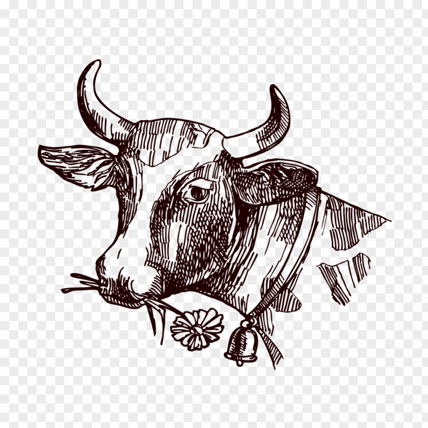 Creative Cow Texas Longhorn Milk Drawing Sketch PNG
