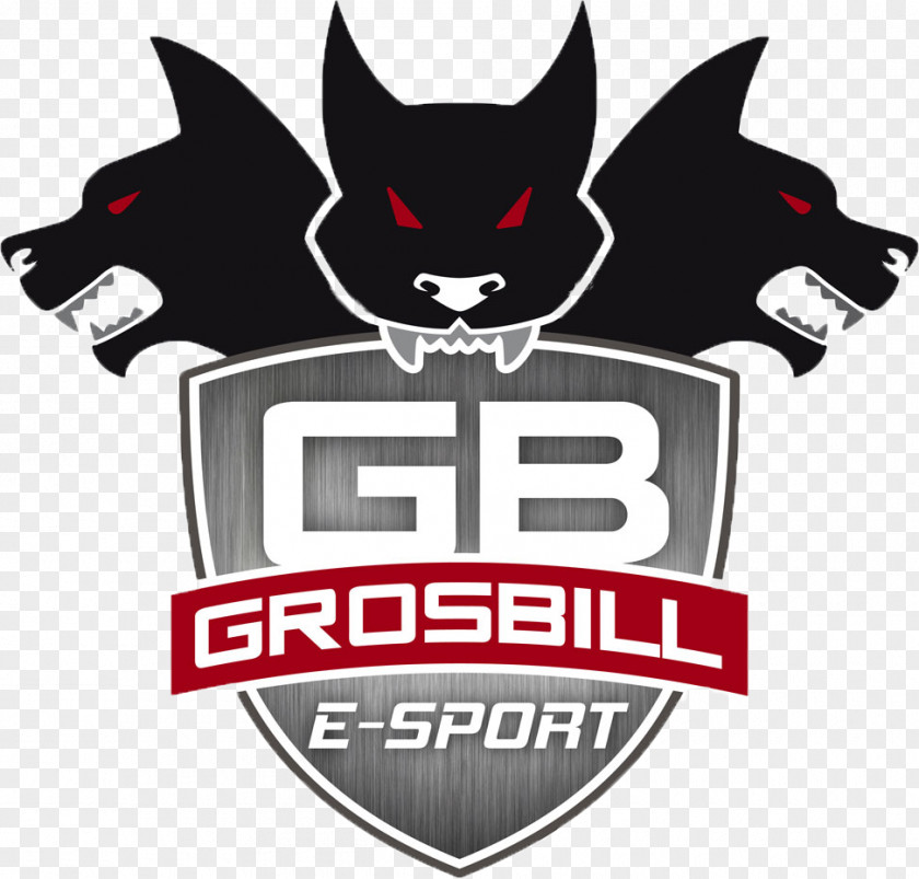 League Of Legends World Championship GrosBill Paris 13 Series Electronic Sports PNG