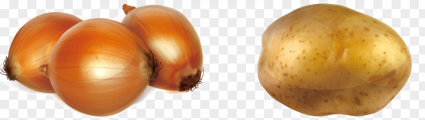 Onions And Potatoes Potato Onion Vegetable PNG