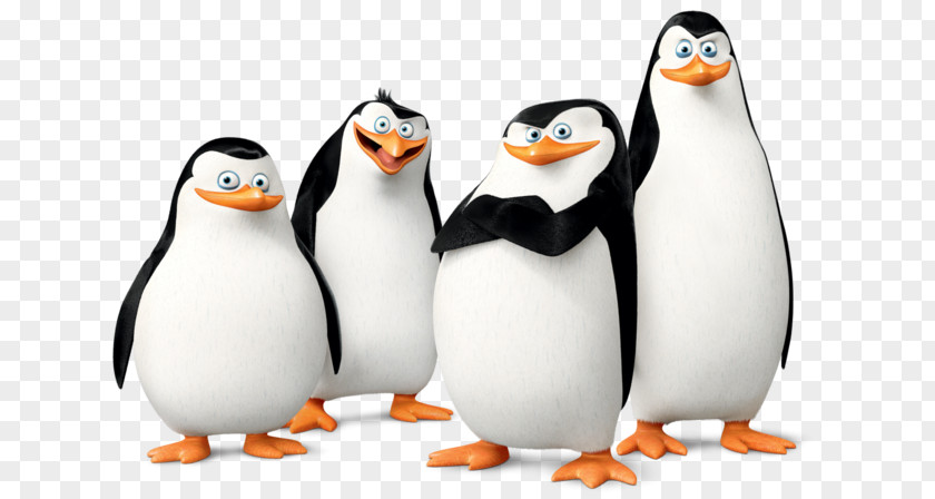 Penguin Madagascar: Operation Kowalski Skipper PNG