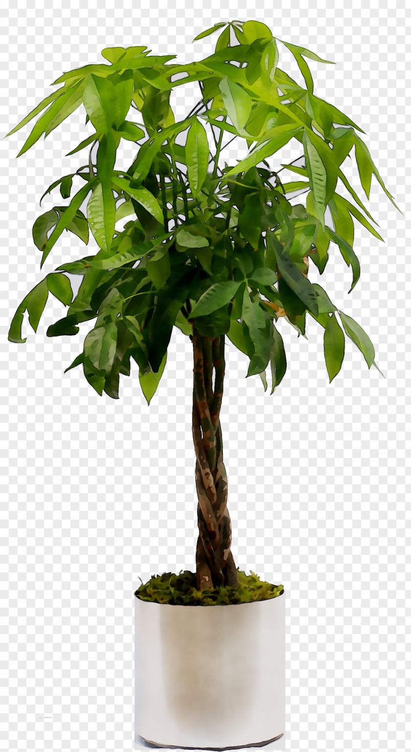 Weeping Fig Houseplant Tree Nearly Natural, Inc. Fiddle-leaf PNG