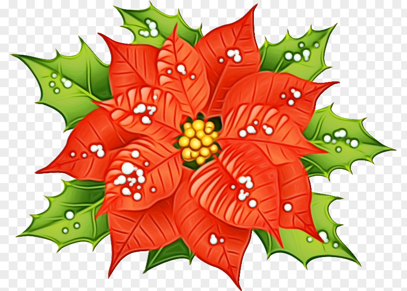 Flowering Plant Plane Holly PNG