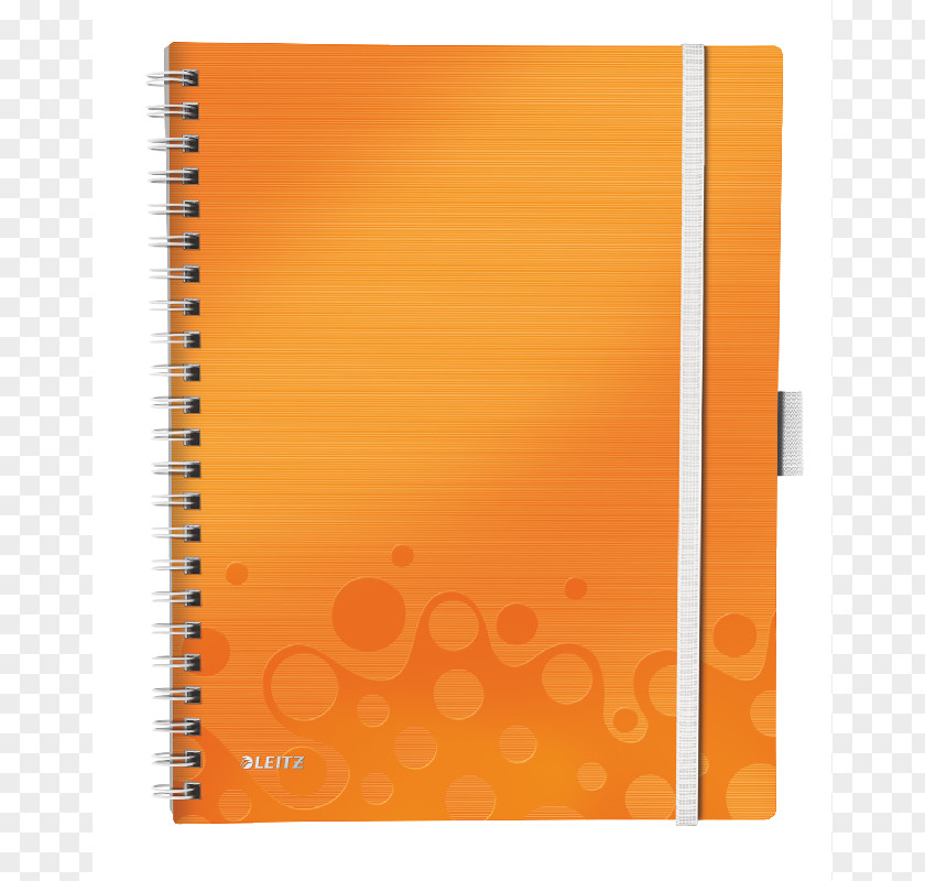 Notebook Paper Exercise Book Kołobrulion Blue PNG