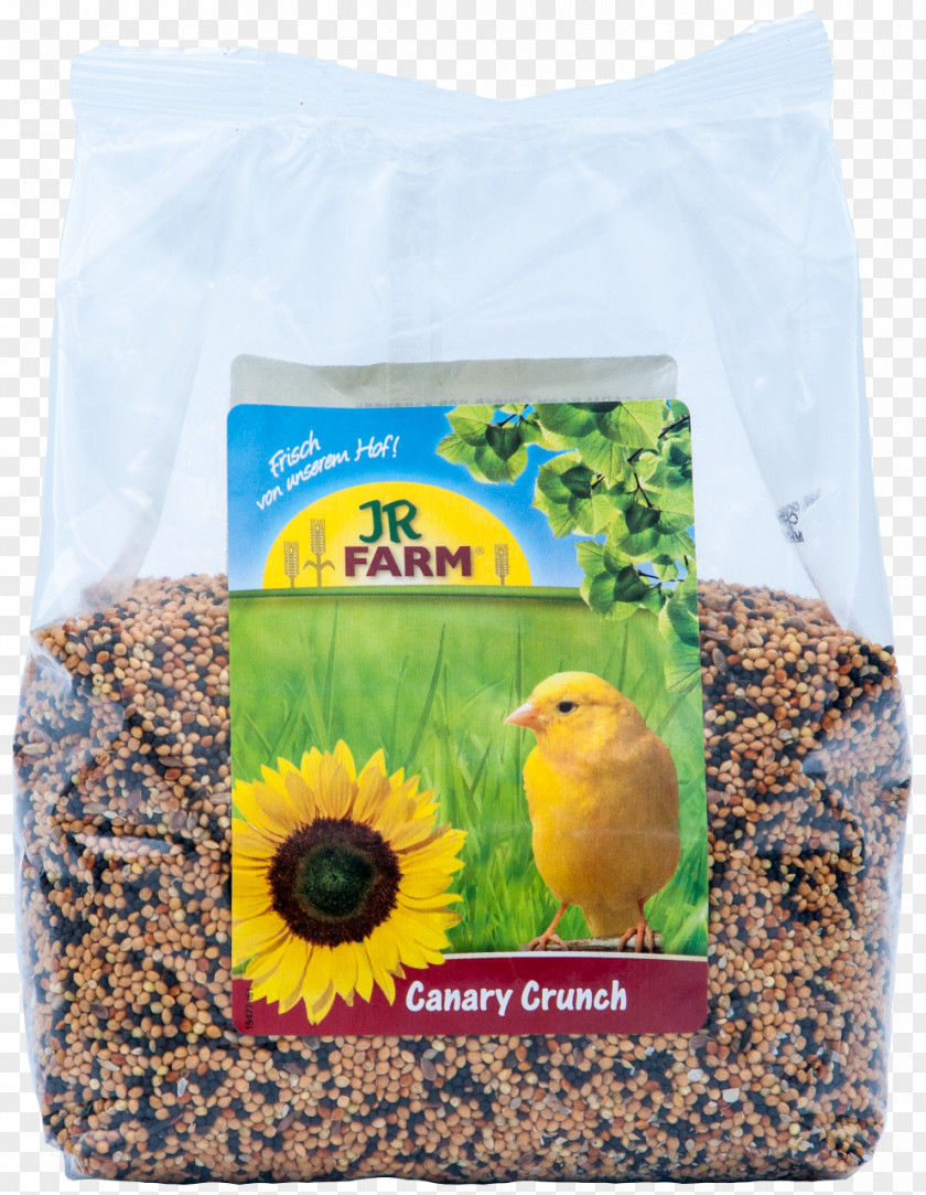 Dog Bird Food Budgerigar Fodder Cat PNG