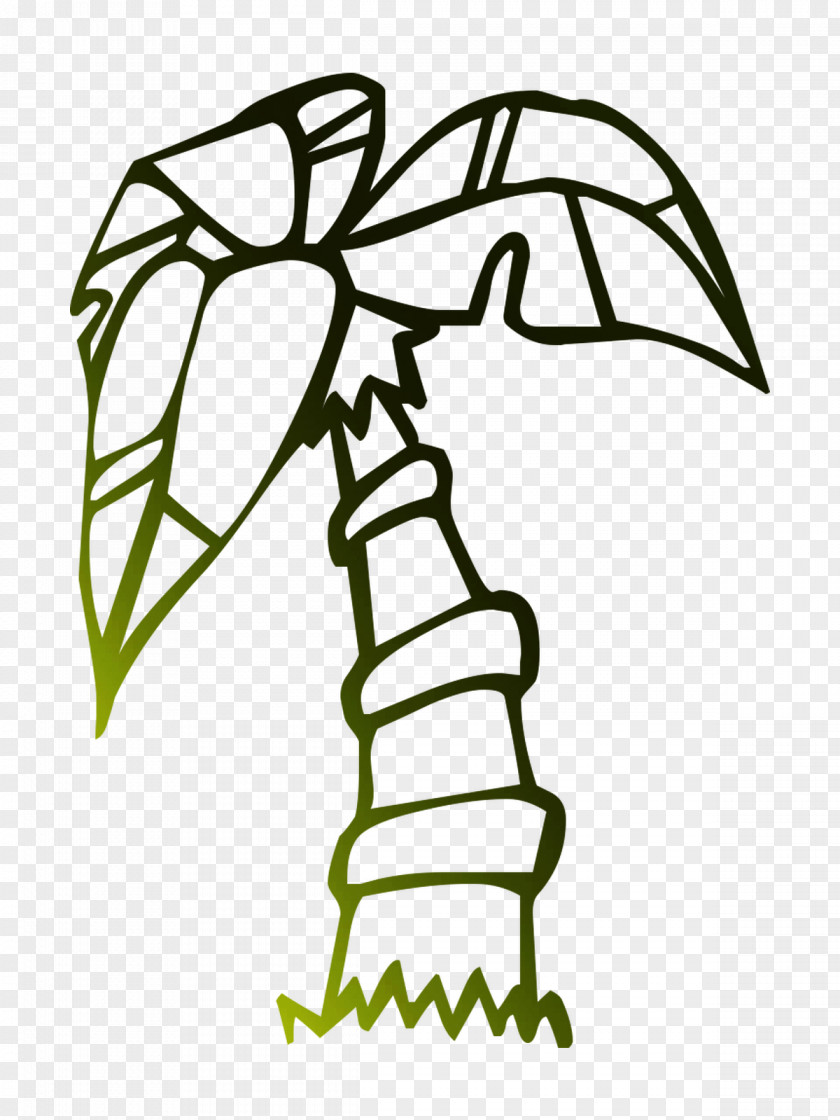 Palm Trees Sabal Vector Graphics Royalty-free PNG