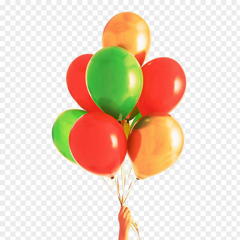 Plant Toy Balloon Party Supply PNG