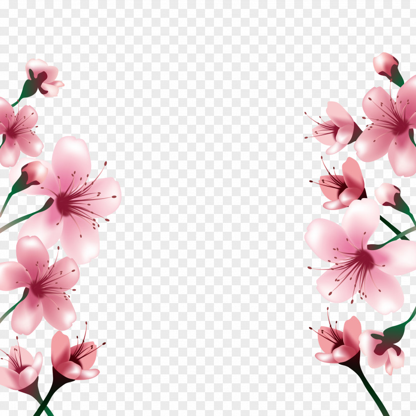 Cherry Blossoms National Blossom Festival Paper PNG
