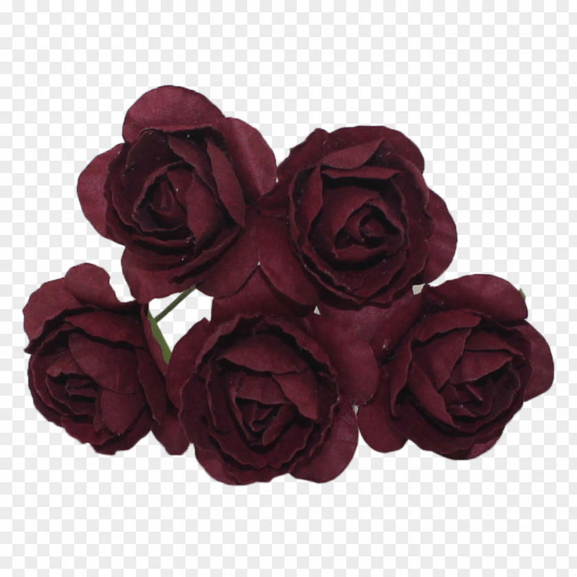 Mulberry Garden Roses Cut Flowers Flower Bouquet PNG