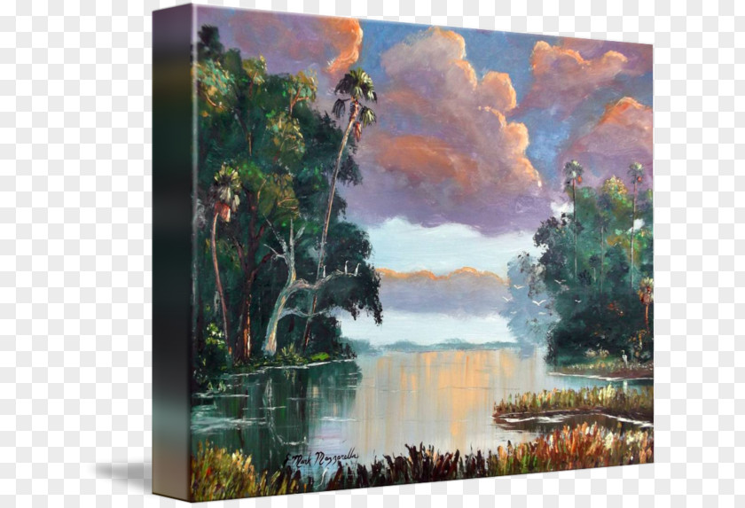 Painting Watercolor Everglades Bayou Landscape PNG