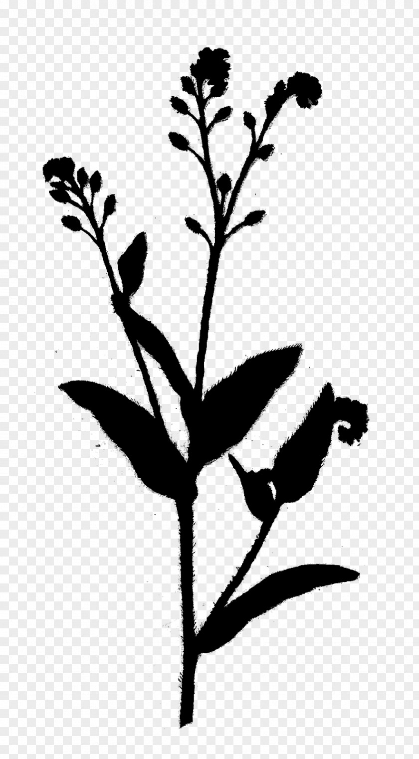 Twig Plant Stem Flower Leaf Silhouette PNG
